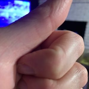 Meet your Posher, Maria jose